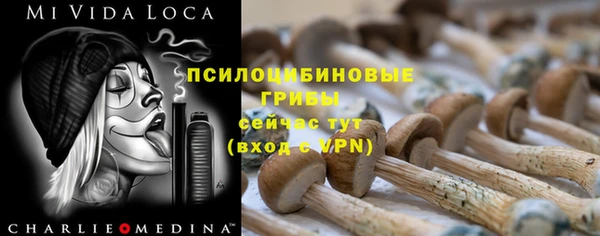 прущая мука Аркадак