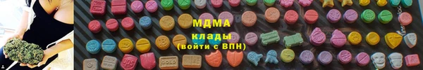 ПСИЛОЦИБИНОВЫЕ ГРИБЫ Арсеньев
