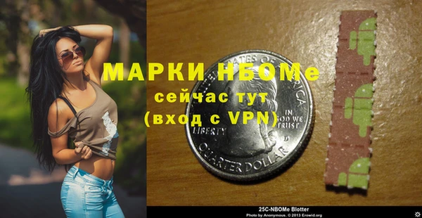 ПСИЛОЦИБИНОВЫЕ ГРИБЫ Арсеньев