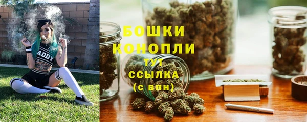 ПСИЛОЦИБИНОВЫЕ ГРИБЫ Арсеньев