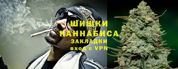 ПСИЛОЦИБИНОВЫЕ ГРИБЫ Арсеньев