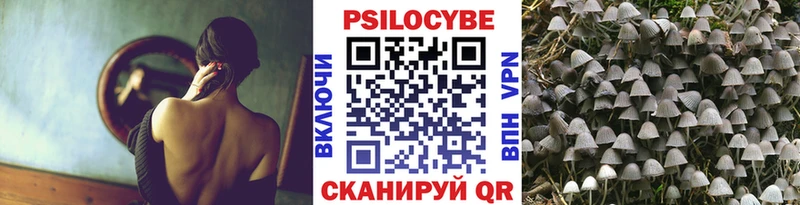 Псилоцибиновые грибы прущие грибы  сайты даркнета формула  Кемь  где купить  